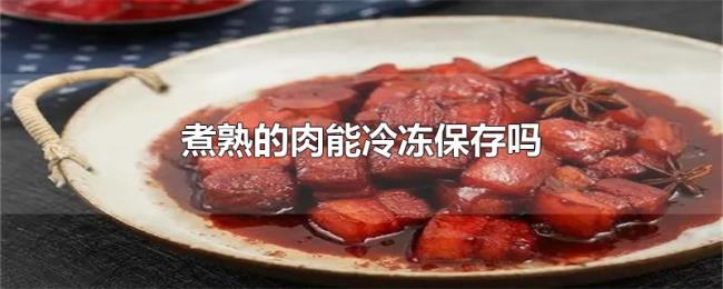 煮熟的肉能冷冻保存吗
