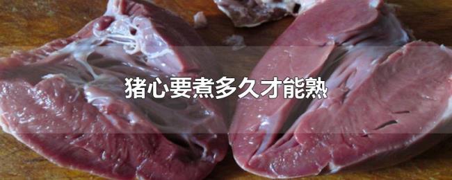 猪心要煮多久才能熟 猪心要煮多久才能熟