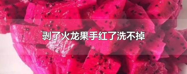 剥了火龙果手红了洗不掉