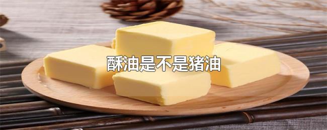 酥油是不是猪油