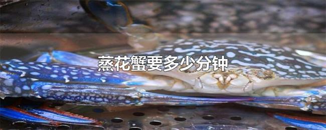 蒸花蟹要多少分钟 蒸花蟹要多少分钟