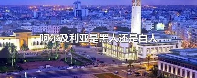 阿尔及利亚是黑人还是白人 阿尔及利亚是黑人还是白人