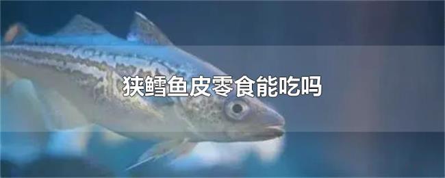 狭鳕鱼皮零食能吃吗