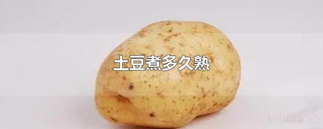 土豆煮多久熟 土豆煮多久熟