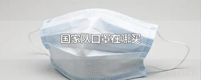 国家队口罩在哪买