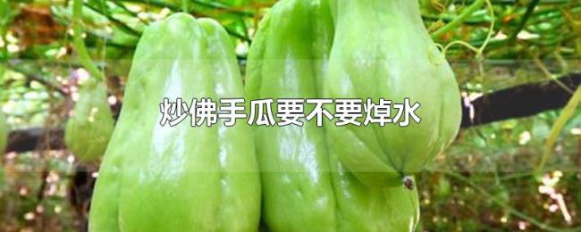 炒佛手瓜要不要焯水