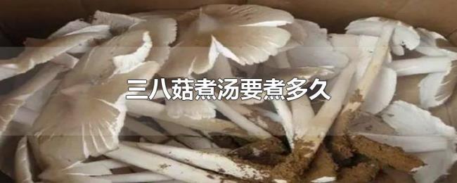 三八菇煮汤要煮多久 三八菇煮汤要煮多久