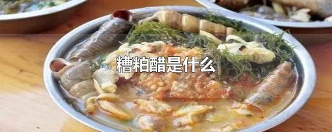 糟粕醋是什么 糟粕醋是什么