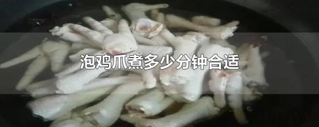 泡鸡爪煮多少分钟合适