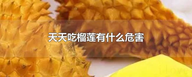 天天吃榴莲有什么危害 天天吃榴莲有什么危害