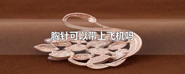 胸针可以带上飞机吗 胸针可以带上飞机吗