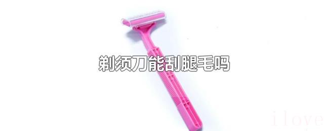 剃须刀能刮腿毛吗