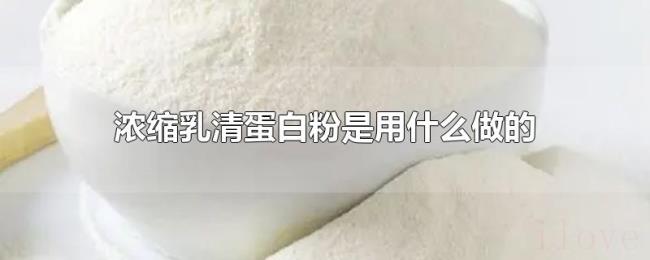 浓缩乳清蛋白粉是用什么做的 浓缩乳清蛋白粉是用什么做的
