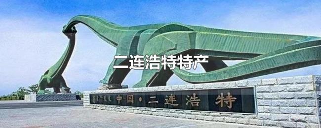 二连浩特特产 二连浩特特产