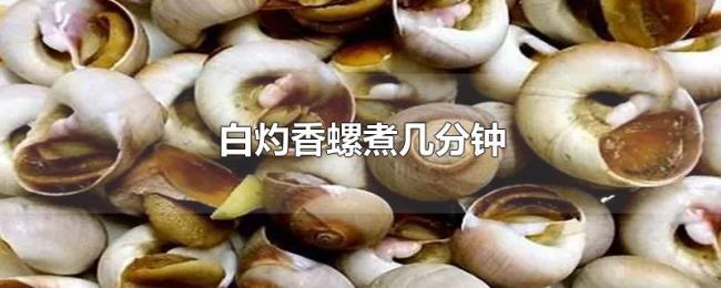 白灼香螺煮几分钟 白灼香螺煮几分钟