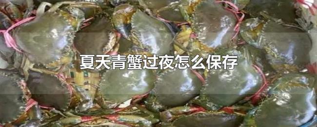 夏天青蟹过夜怎么保存 夏天青蟹过夜怎么保存