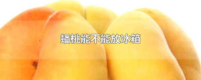 蟠桃能不能放冰箱 蟠桃能不能放冰箱