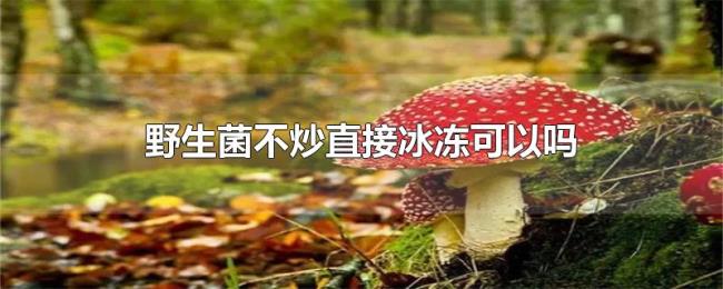 野生菌不炒直接冰冻可以吗