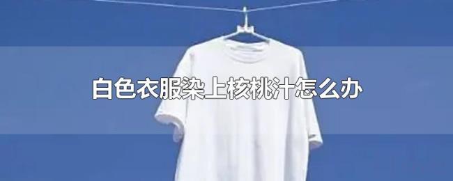 白色衣服染上核桃汁怎么办 白色衣服染上核桃汁怎么办
