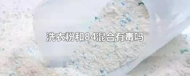 洗衣粉和84混合有毒吗 洗衣粉和84混合有毒吗