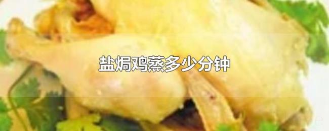 盐焗鸡蒸多少分钟 盐焗鸡蒸多少分钟