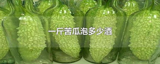 一斤苦瓜泡多少酒