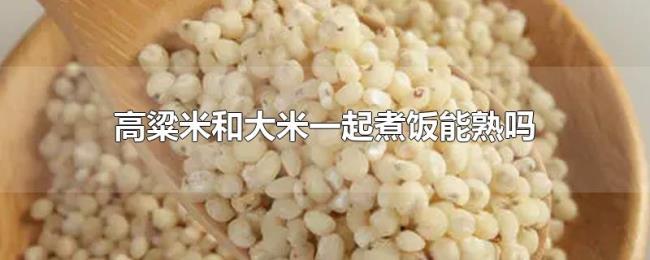 高粱米和大米一起煮饭能熟吗