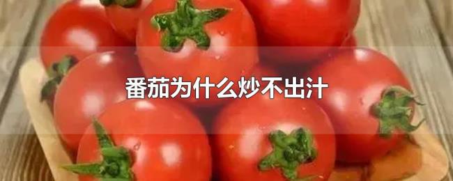 番茄为什么炒不出汁 番茄为什么炒不出汁