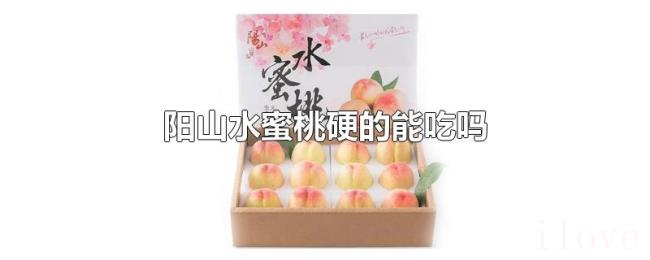 阳山水蜜桃硬的能吃吗