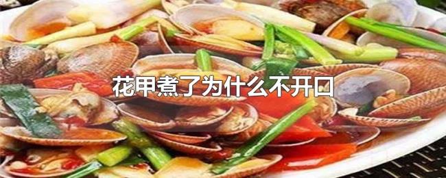 花甲煮了为什么不开口 花甲煮了为什么不开口