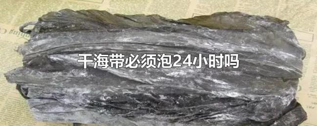 干海带必须泡24小时吗 干海带必须泡24小时吗