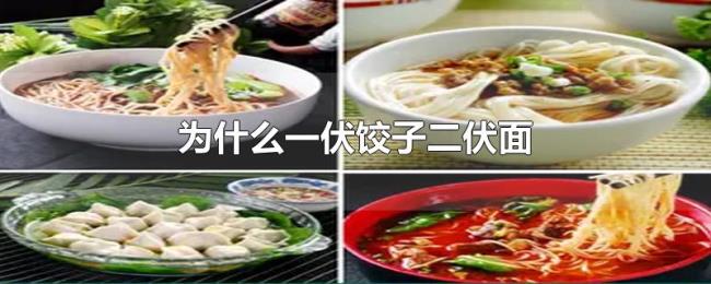 为什么一伏饺子二伏面 为什么一伏饺子二伏面