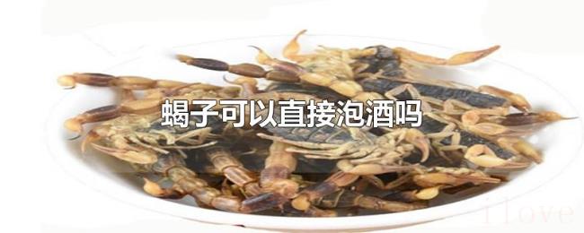 蝎子可以直接泡酒吗 蝎子可以直接泡酒吗
