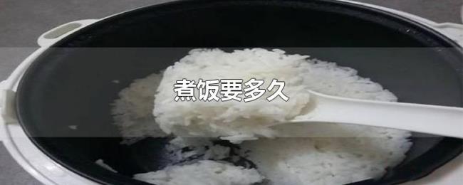 煮饭要多久 煮饭要多久