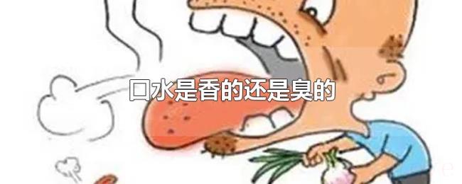 口水是香的还是臭的 口水是香的还是臭的