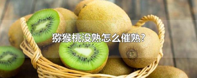 猕猴桃没熟怎么催熟? 猕猴桃没熟怎么催熟?