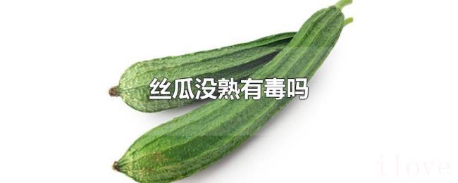 丝瓜没熟有毒吗 丝瓜没熟有毒吗