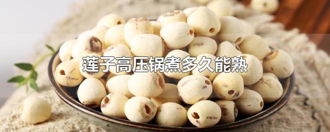 莲子高压锅煮多久能熟 莲子高压锅煮多久能熟