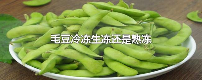 毛豆冷冻生冻还是熟冻 毛豆冷冻生冻还是熟冻