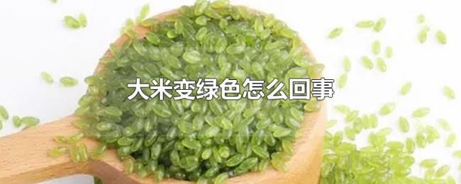 大米变绿色怎么回事 大米变绿色怎么回事