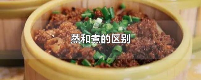 蒸和煮的区别 蒸和煮的区别