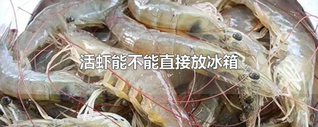 活虾能不能直接放冰箱 活虾能不能直接放冰箱