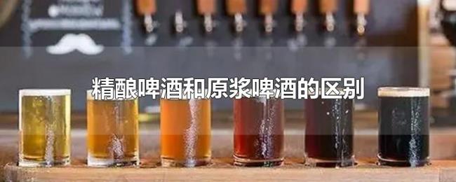 精酿啤酒和原浆啤酒的区别 精酿啤酒和原浆啤酒的区别