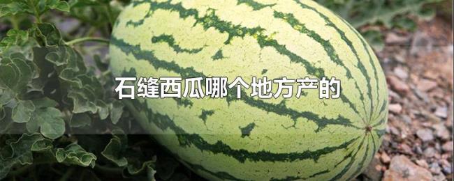 石缝西瓜哪个地方产的 石缝西瓜哪个地方产的