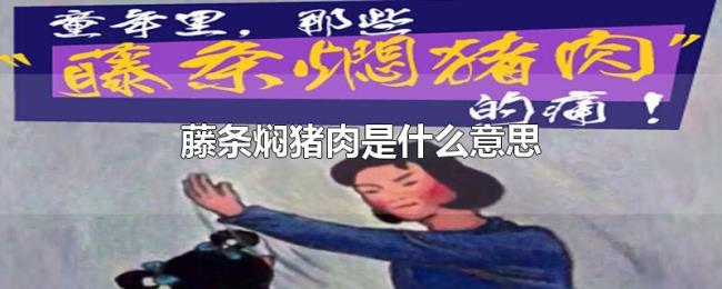 藤条焖猪肉是什么意思 藤条焖猪肉是什么意思