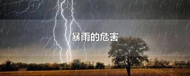 暴雨的危害 暴雨的危害