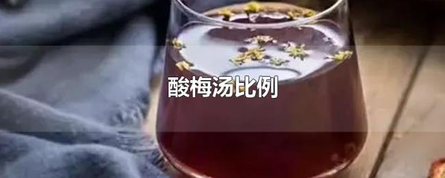 酸梅汤比例 酸梅汤比例
