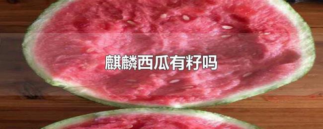 麒麟西瓜有籽吗