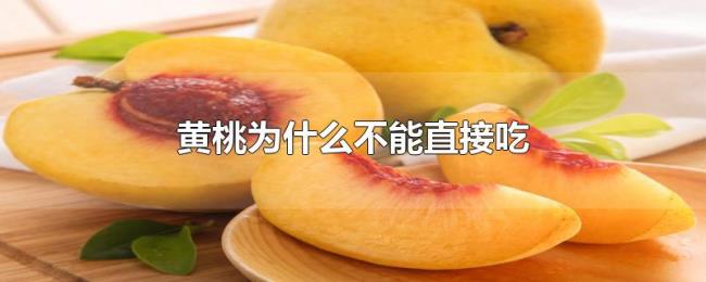 黄桃为什么不能直接吃 黄桃为什么不能直接吃