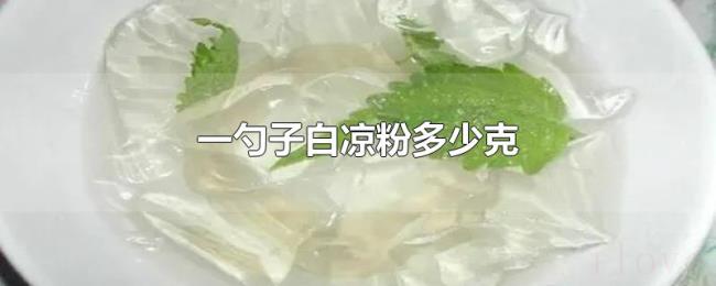 一勺子白凉粉多少克 一勺子白凉粉多少克
